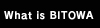 BITOWAƂ